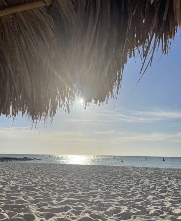 Emabassy Suites Aruba: Luxe en Comfort op Palm&nbsp;Beach